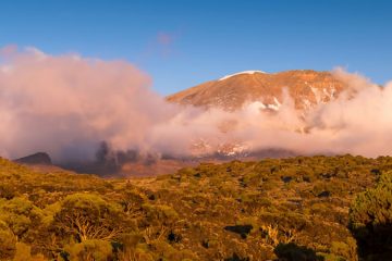Climbing  Kilimanjaro